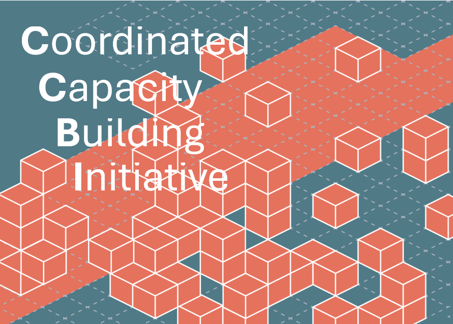 Coordinated Capacity Building Initiative