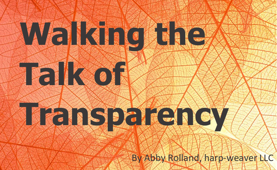Walking the Talk of Transparency